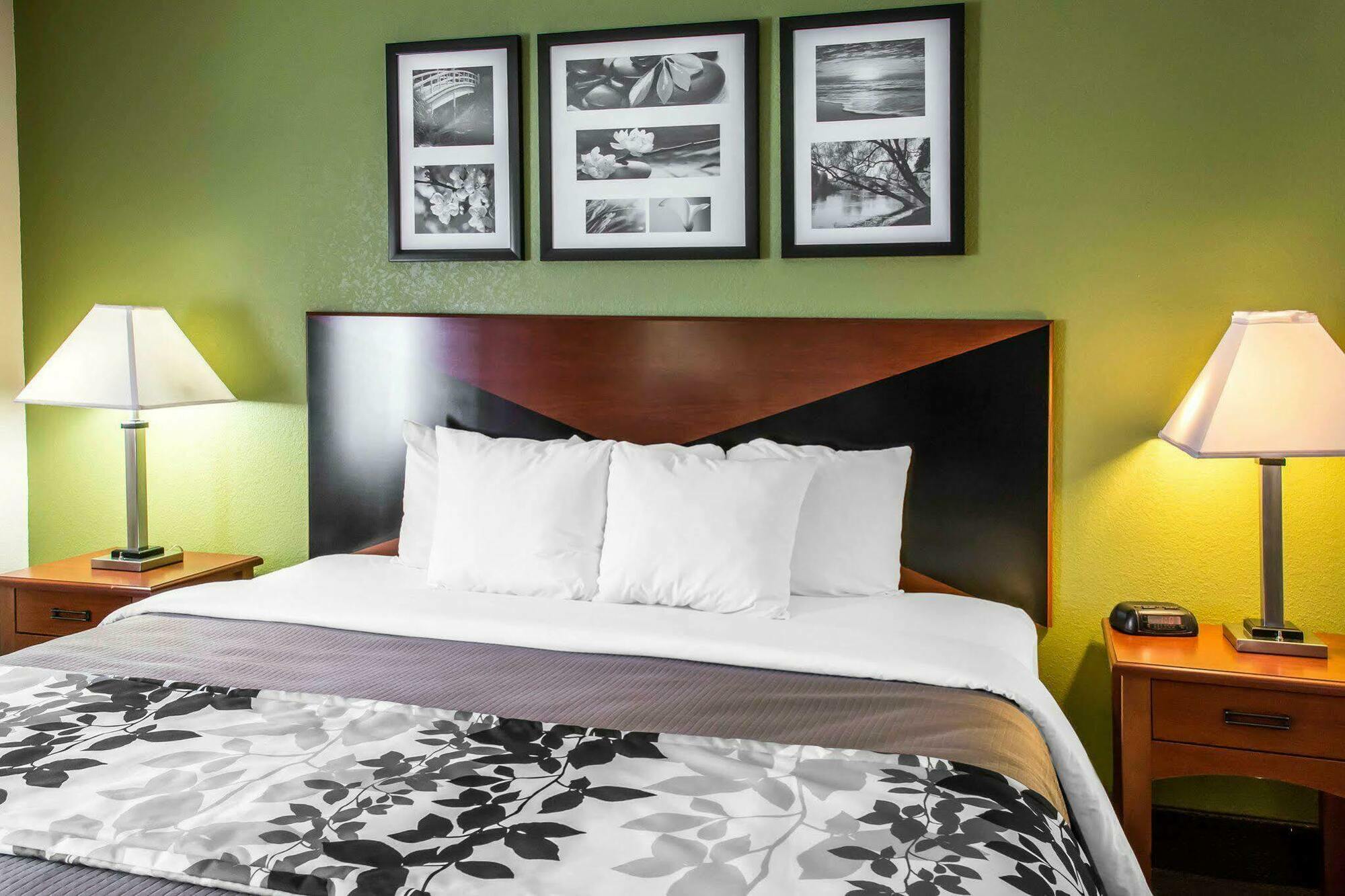 Sleep Inn Wytheville I-77 And I-81 Εξωτερικό φωτογραφία